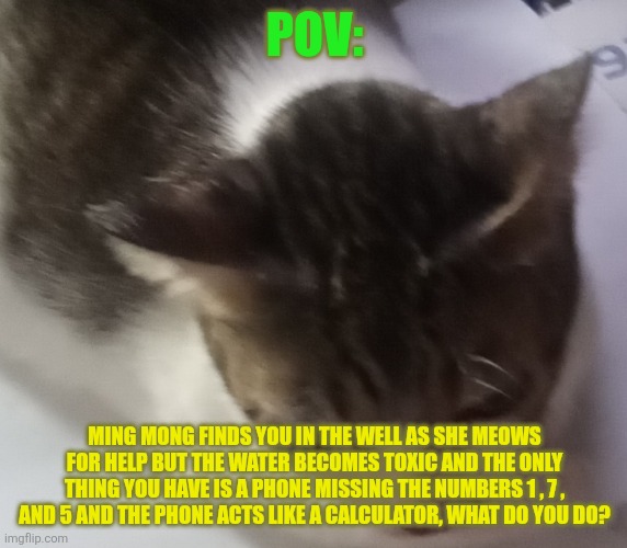 Random meme | POV:; MING MONG FINDS YOU IN THE WELL AS SHE MEOWS FOR HELP BUT THE WATER BECOMES TOXIC AND THE ONLY THING YOU HAVE IS A PHONE MISSING THE NUMBERS 1 , 7 , AND 5 AND THE PHONE ACTS LIKE A CALCULATOR, WHAT DO YOU DO? | image tagged in ming mong | made w/ Imgflip meme maker
