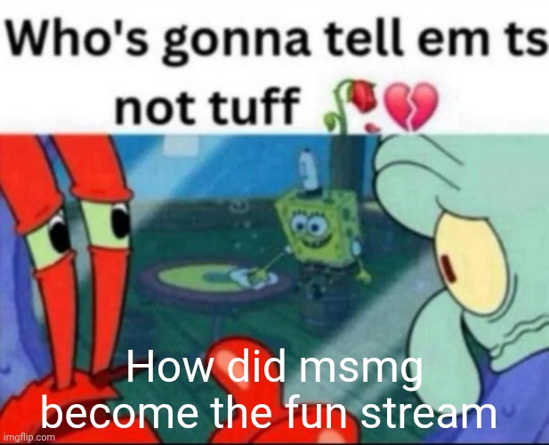 ts not tuff | How did msmg become the fun stream | image tagged in ts not tuff | made w/ Imgflip meme maker
