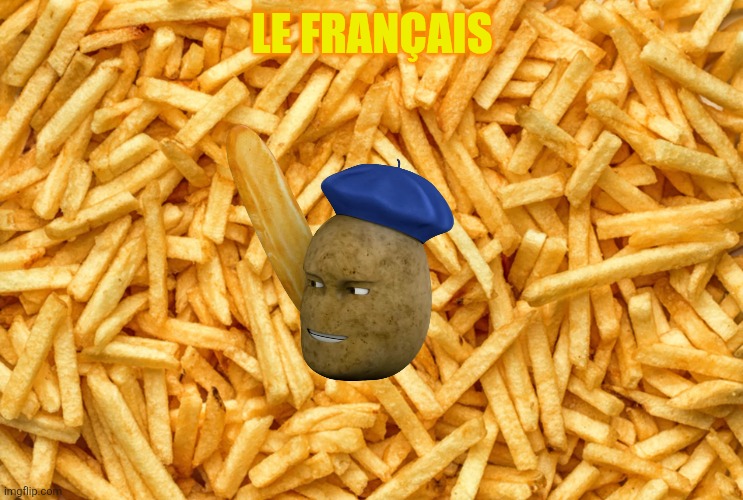 French Fry Famine | LE FRANÇAIS | image tagged in french fry famine | made w/ Imgflip meme maker