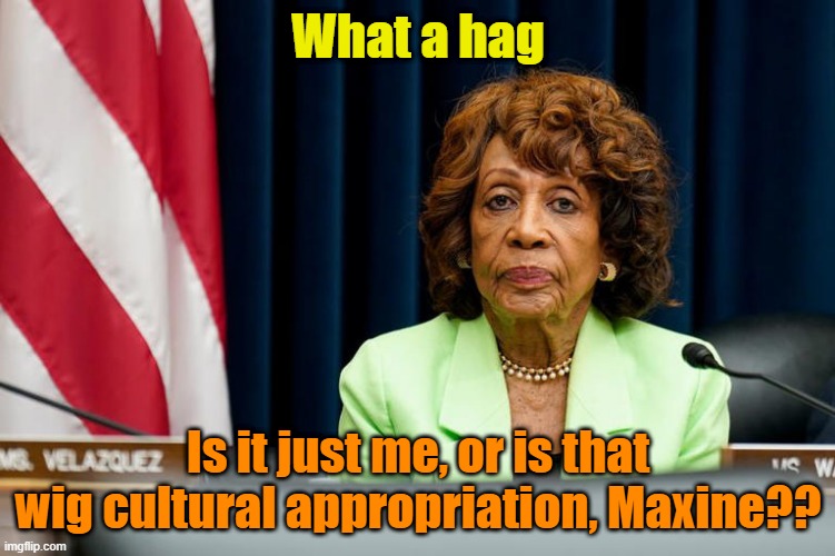 Maxi-Pad Waters culturally appropriates white womens wigs | What a hag; Is it just me, or is that wig cultural appropriation, Maxine?? | image tagged in cultural appropriation,maxine waters,democrats,arrogance,communist | made w/ Imgflip meme maker