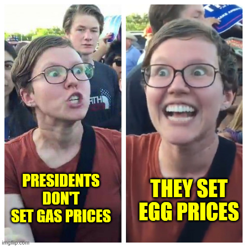 Hypocrite liberal | THEY SET EGG PRICES; PRESIDENTS DON'T SET GAS PRICES | image tagged in hypocrite liberal | made w/ Imgflip meme maker