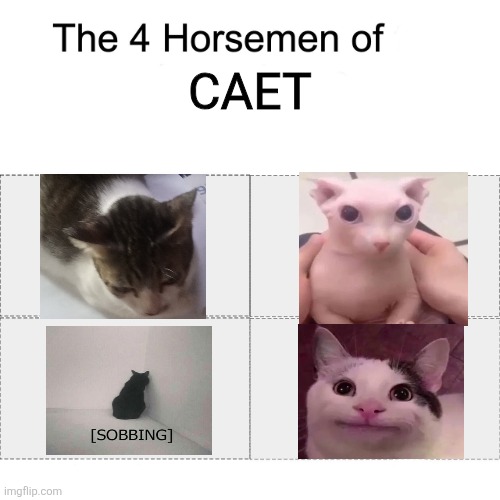 Cwuht (also why is there beluga) | CAET | image tagged in four horsemen | made w/ Imgflip meme maker