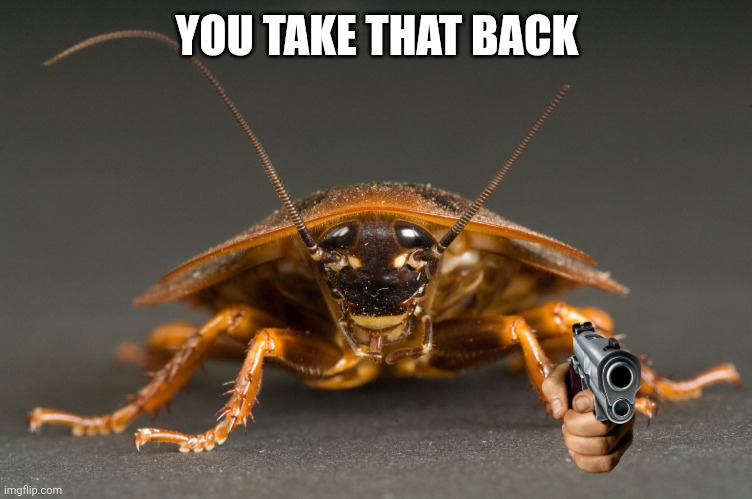 Cockroach | YOU TAKE THAT BACK | image tagged in cockroach | made w/ Imgflip meme maker