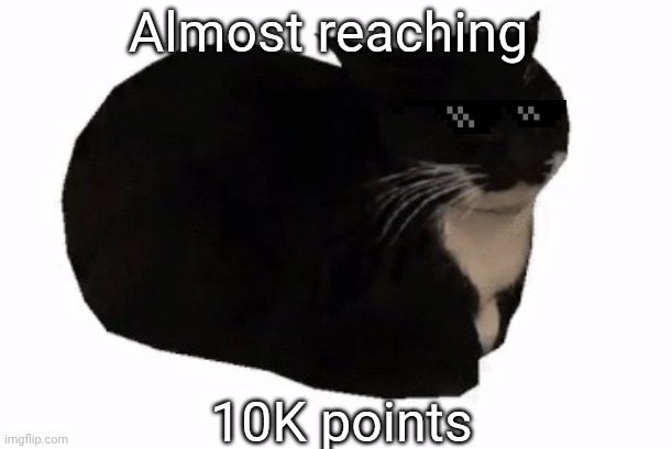 Almost reaching 10K points | Almost reaching; 10K points | image tagged in maxwell the cat | made w/ Imgflip meme maker