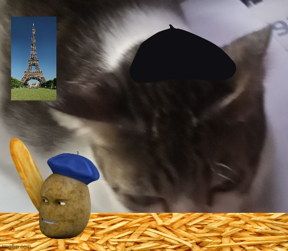 Le français ming móng | image tagged in ming mong,france | made w/ Imgflip meme maker