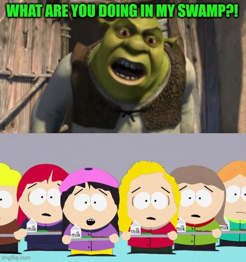 WHAT ARE YOU DOING IN MY SWAMP?! | image tagged in shrek what are you doing in my swamp,south park,girls | made w/ Imgflip meme maker