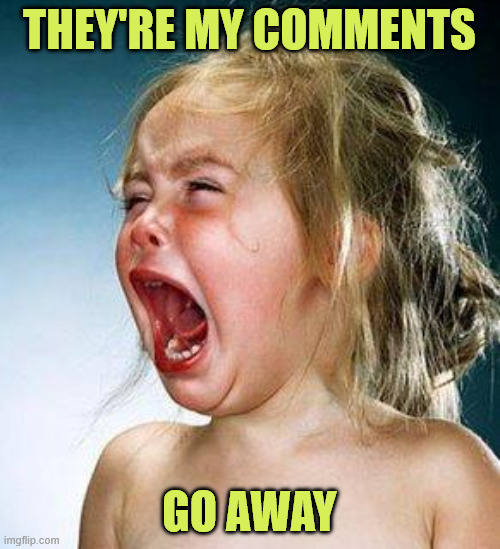 crying girl | THEY'RE MY COMMENTS GO AWAY | image tagged in crying girl | made w/ Imgflip meme maker