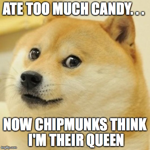 Doge Meme | ATE TOO MUCH CANDY. . .  NOW CHIPMUNKS THINK I'M THEIR QUEEN | image tagged in memes,doge | made w/ Imgflip meme maker