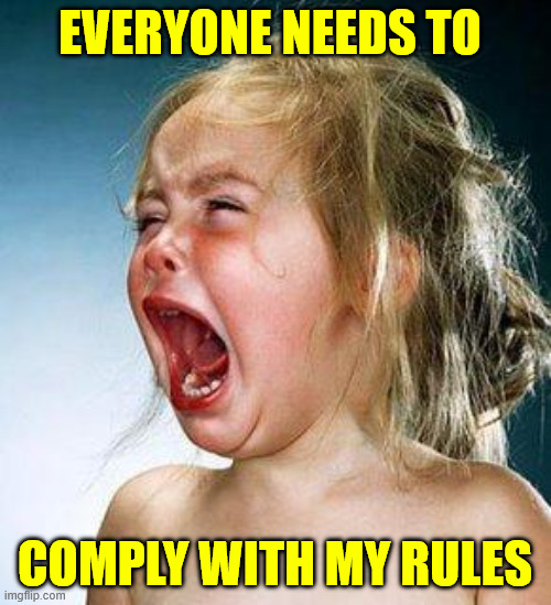 crying girl | EVERYONE NEEDS TO COMPLY WITH MY RULES | image tagged in crying girl | made w/ Imgflip meme maker