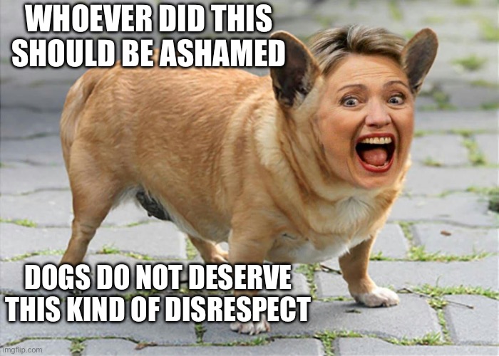 Hillary Clinton | WHOEVER DID THIS SHOULD BE ASHAMED; DOGS DO NOT DESERVE THIS KIND OF DISRESPECT | image tagged in memes | made w/ Imgflip meme maker