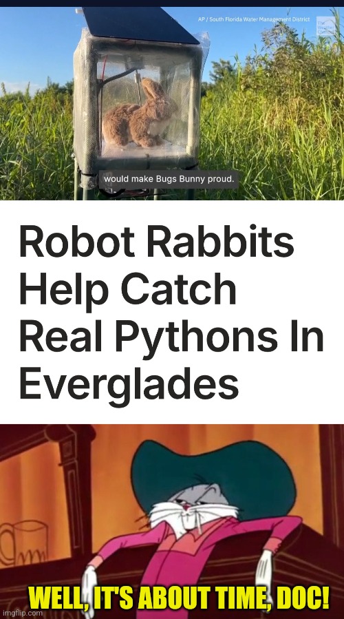 Robot Rabbit Snake Trap | WELL, IT'S ABOUT TIME, DOC! | image tagged in cowboy bugs bunny,robot,rabbit,snake,trap,everglades | made w/ Imgflip meme maker
