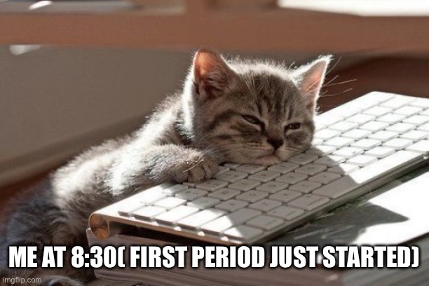 Sleepy Kitten | ME AT 8:30( FIRST PERIOD JUST STARTED) | image tagged in sleepy kitten | made w/ Imgflip meme maker