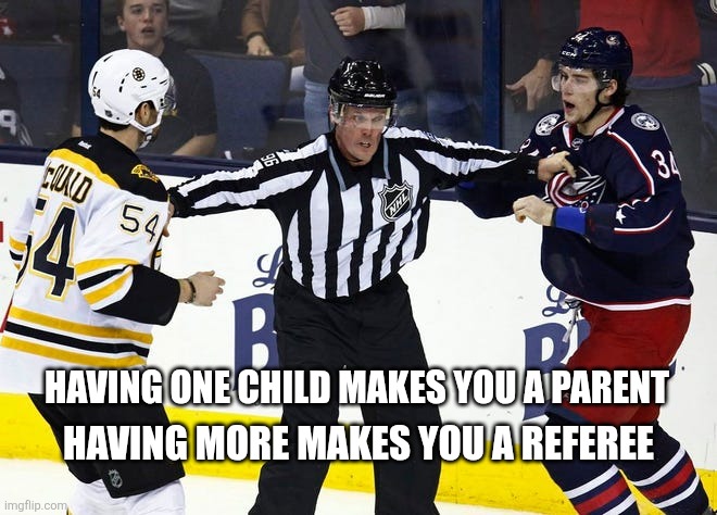 Parenthood is like being a  referee | HAVING MORE MAKES YOU A REFEREE; HAVING ONE CHILD MAKES YOU A PARENT | image tagged in nhl referee stops fight | made w/ Imgflip meme maker