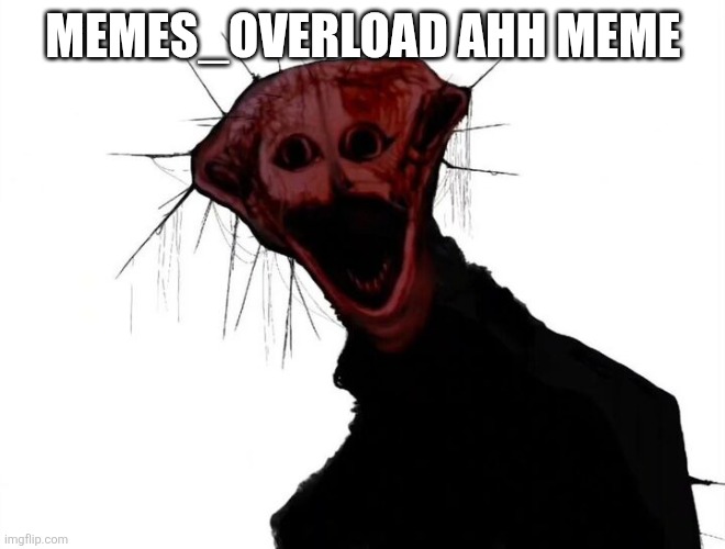 the boiled one | MEMES_OVERLOAD AHH MEME | image tagged in the boiled one | made w/ Imgflip meme maker