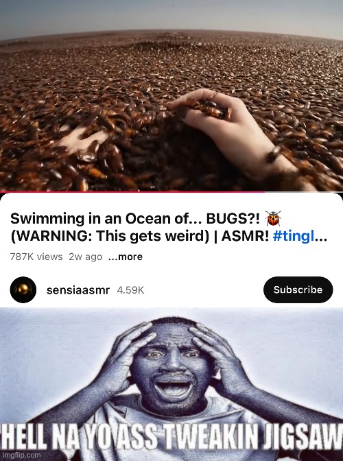 image tagged in hell nah yo ass tweaking bottom panel only | made w/ Imgflip meme maker