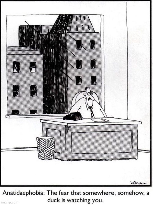 Quack | image tagged in the far side,the plot thickens,ducks,fears,comics/cartoons | made w/ Imgflip meme maker