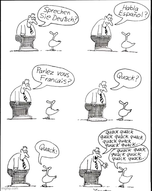 Quack quack | image tagged in the far side,ducks,comics/cartoons | made w/ Imgflip meme maker