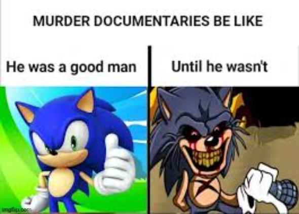 True | image tagged in murder documentary s be like | made w/ Imgflip meme maker
