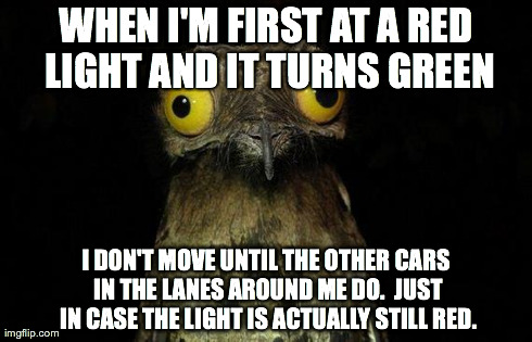 Weird Stuff I Do Potoo | WHEN I'M FIRST AT A RED LIGHT AND IT TURNS GREEN I DON'T MOVE UNTIL THE OTHER CARS IN THE LANES AROUND ME DO.  JUST IN CASE THE LIGHT IS ACT | image tagged in memes,weird stuff i do potoo | made w/ Imgflip meme maker