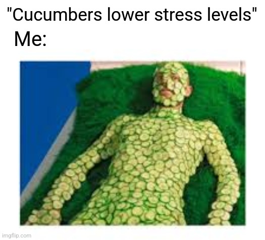 Cool as a Cucumber | "Cucumbers lower stress levels"; Me: | image tagged in cucumber,cool,stress,free,funny memes | made w/ Imgflip meme maker