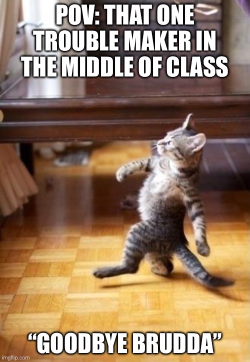 Buh bye | POV: THAT ONE TROUBLE MAKER IN THE MIDDLE OF CLASS; “GOODBYE BRUDDA” | image tagged in memes,cool cat stroll | made w/ Imgflip meme maker