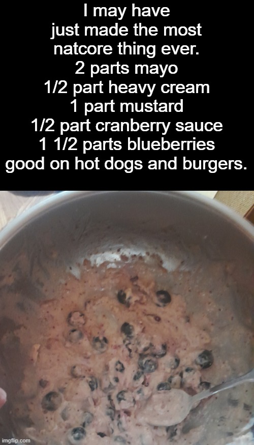 I may have just made the most natcore thing ever.
2 parts mayo
1/2 part heavy cream
1 part mustard
1/2 part cranberry sauce
1 1/2 parts blueberries
good on hot dogs and burgers. | made w/ Imgflip meme maker