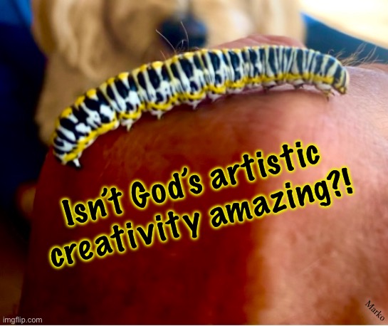 And Then, it turns into a different beautiful thing | Isn’t God’s artistic
creativity amazing?! Marko | image tagged in memes,are you telling me that evolution made this,no it was god,it was and is god the creator,mighty n magnificent,serve him | made w/ Imgflip meme maker