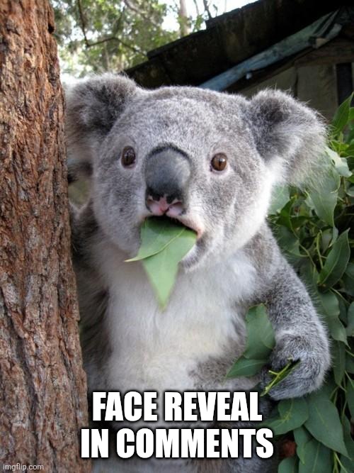 Hsbshsh | FACE REVEAL IN COMMENTS | image tagged in memes,surprised koala | made w/ Imgflip meme maker