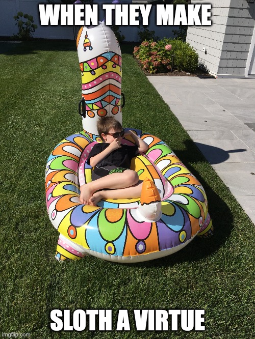 sloth | WHEN THEY MAKE; SLOTH A VIRTUE | image tagged in kid in inflatable llama | made w/ Imgflip meme maker