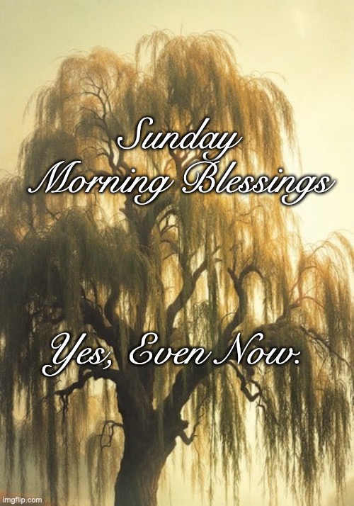 Blessings Even Now | Sunday Morning Blessings; Yes, Even Now. | image tagged in sunday blessings,even now blessings | made w/ Imgflip meme maker
