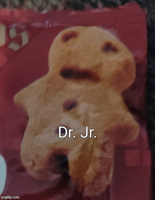 Cookie | Dr. Jr. | image tagged in cookie | made w/ Imgflip meme maker