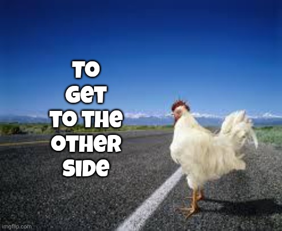 Why the chicken Cross the road | To get to the other side | image tagged in why the chicken cross the road | made w/ Imgflip meme maker