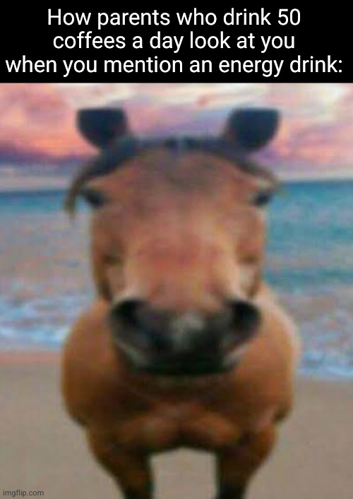 your one to talk buddy boy | How parents who drink 50 coffees a day look at you when you mention an energy drink: | image tagged in evil horse,coffee,energy drink,horse,staring horse,so true | made w/ Imgflip meme maker