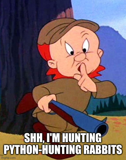 Elmer Fudd | SHH, I'M HUNTING PYTHON-HUNTING RABBITS | image tagged in elmer fudd | made w/ Imgflip meme maker