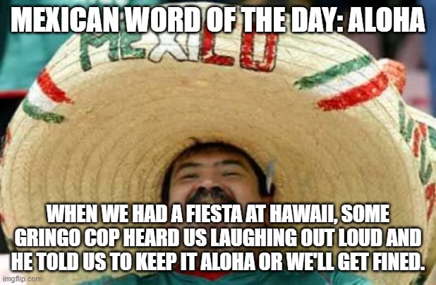 mexican word of the day | MEXICAN WORD OF THE DAY: ALOHA; WHEN WE HAD A FIESTA AT HAWAII, SOME GRINGO COP HEARD US LAUGHING OUT LOUD AND HE TOLD US TO KEEP IT ALOHA OR WE'LL GET FINED. | image tagged in mexican word of the day,hawaii,memes,funny,funny memes,lol | made w/ Imgflip meme maker