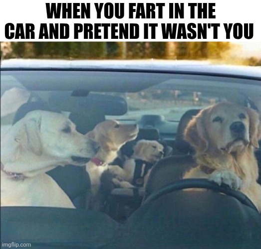 When You Fart In The Car And Pretend It Wasn't You | WHEN YOU FART IN THE CAR AND PRETEND IT WASN'T YOU | image tagged in chrisjoines1 | made w/ Imgflip meme maker