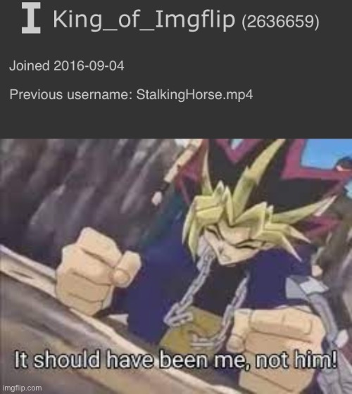 image tagged in it should have been me | made w/ Imgflip meme maker