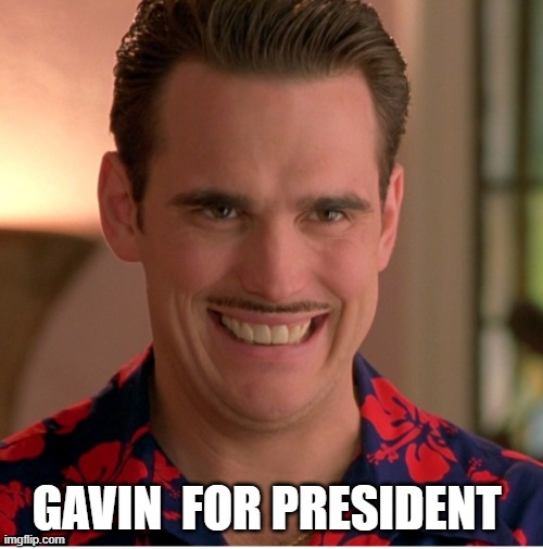 There's Something about Gavin | GAVIN  FOR PRESIDENT | image tagged in gavin,president,2028 | made w/ Imgflip meme maker