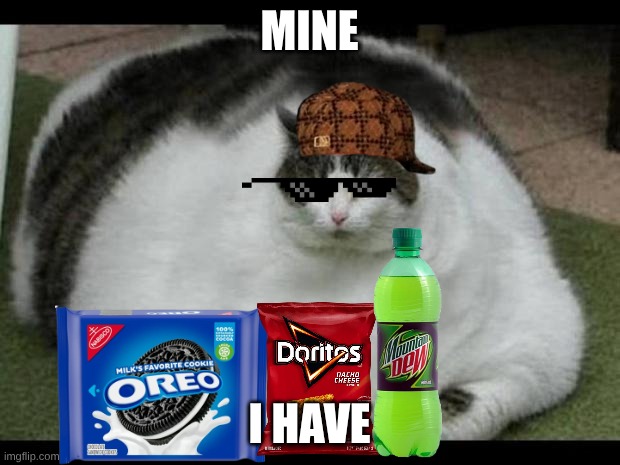 HEHE BOI | MINE; I HAVE | image tagged in fat cat 2,funny,cats,oreos | made w/ Imgflip meme maker
