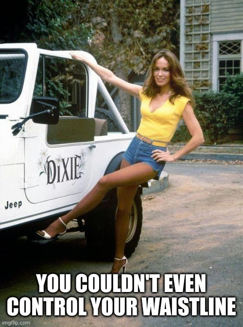 Daisy Duke | YOU COULDN'T EVEN CONTROL YOUR WAISTLINE | image tagged in daisy duke | made w/ Imgflip meme maker