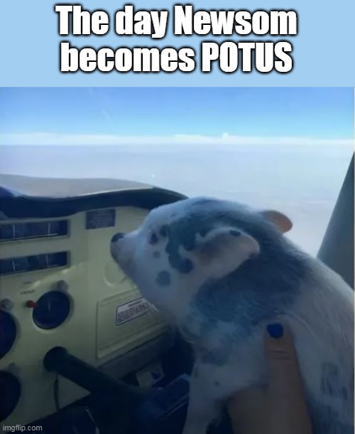 The day Newsom becomes POTUS | made w/ Imgflip meme maker