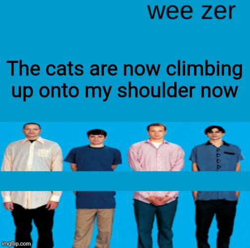 Wee zer | The cats are now climbing up onto my shoulder now | image tagged in wee zer | made w/ Imgflip meme maker