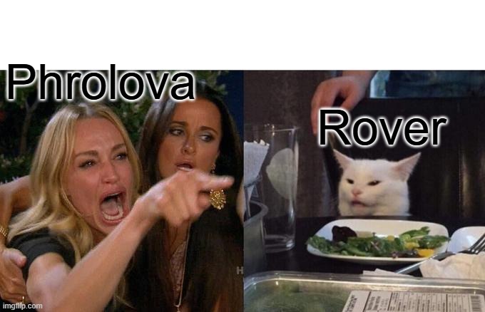 Wuwa Rover and phrolova | Phrolova; Rover | image tagged in memes,woman yelling at cat | made w/ Imgflip meme maker
