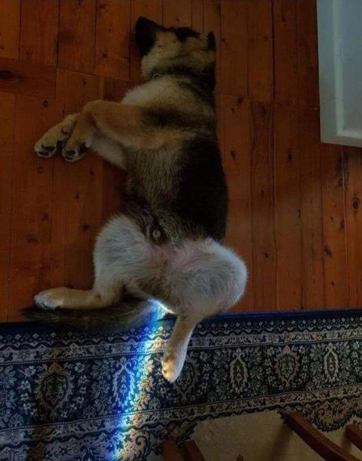 Chrisjoines1 Blank Meme Template