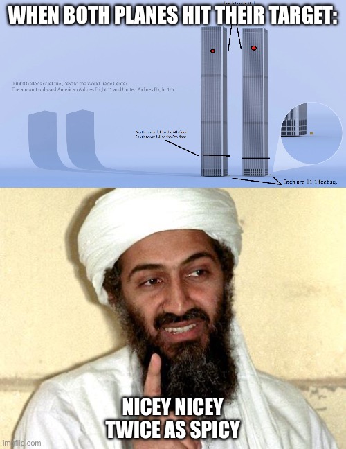 When the planes hit | WHEN BOTH PLANES HIT THEIR TARGET:; NICEY NICEY
TWICE AS SPICY | image tagged in world trade center,osama bin laden,twin towers,911 9/11 twin towers impact,spicy | made w/ Imgflip meme maker