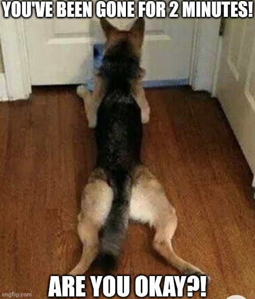 You've Been Gone For 2 Minutes! Are You Okay?! | YOU'VE BEEN GONE FOR 2 MINUTES! ARE YOU OKAY?! | image tagged in chrisjoines1 | made w/ Imgflip meme maker