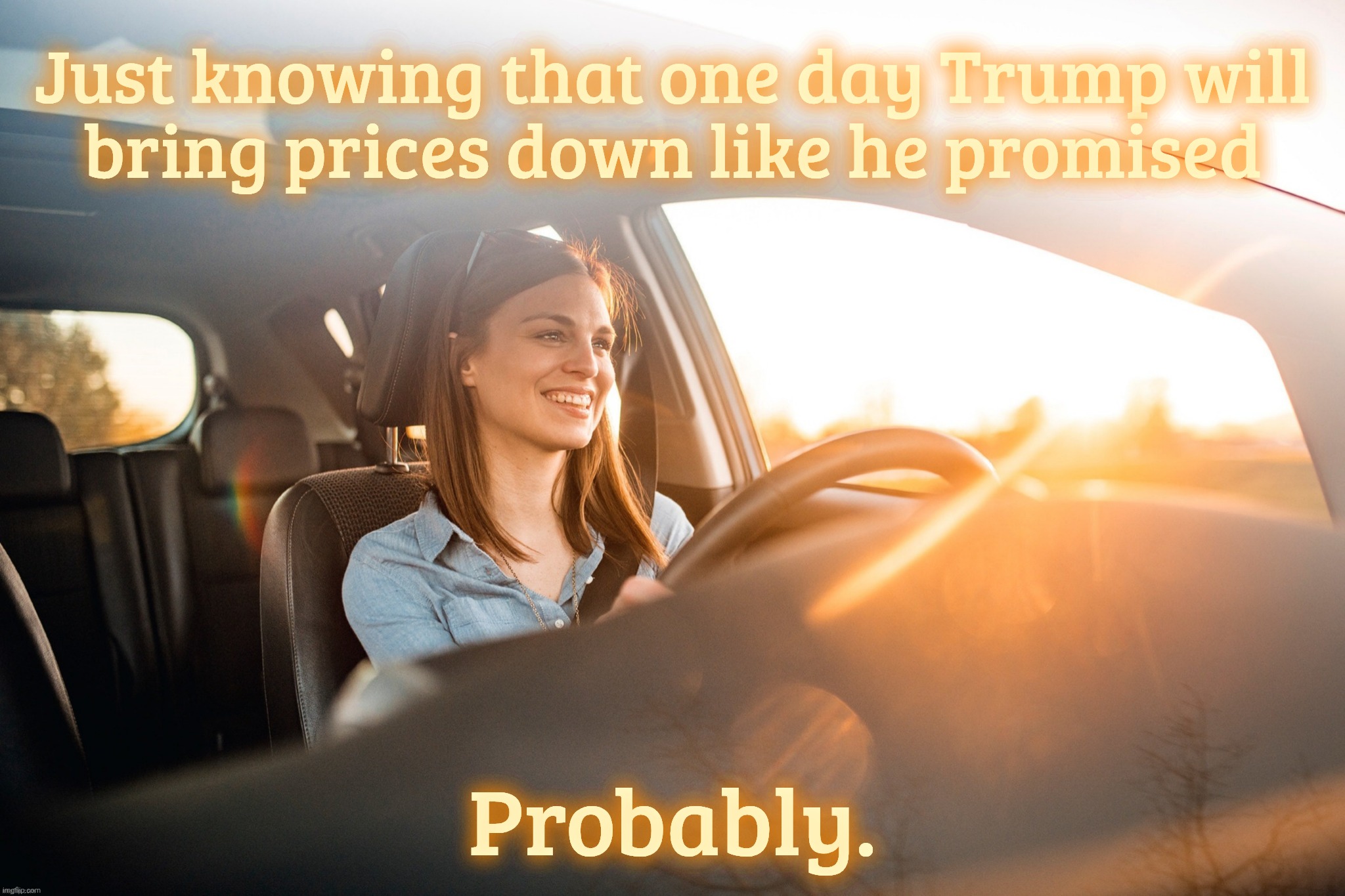 Smiling in the car | Just knowing that one day Trump will
bring prices down like he promised; Probably. | image tagged in smiling in the car | made w/ Imgflip meme maker
