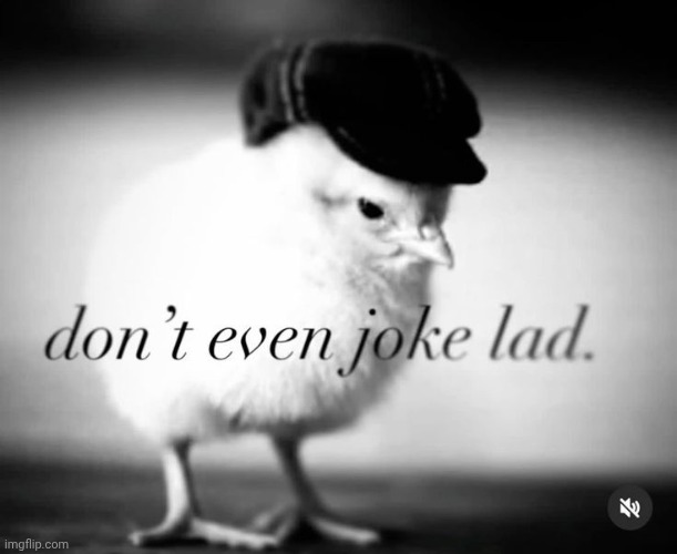 I love this stupid ass image | image tagged in don't even joke lad | made w/ Imgflip meme maker