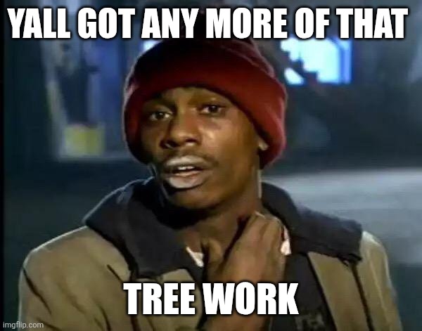 Y'all Got Any More Of That Meme | YALL GOT ANY MORE OF THAT; TREE WORK | image tagged in memes,y'all got any more of that | made w/ Imgflip meme maker