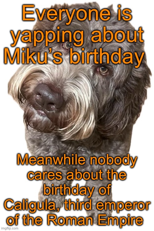 His birthday is today as well | Everyone is yapping about Miku’s birthday; Meanwhile nobody cares about the birthday of Caligula, third emperor of the Roman Empire | image tagged in norther's dog | made w/ Imgflip meme maker